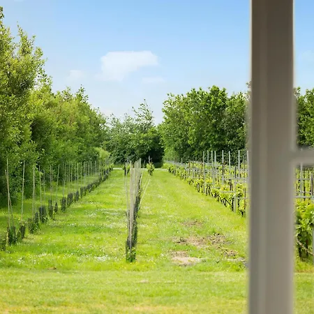 Cozy In With Wifi 公寓 Ranum