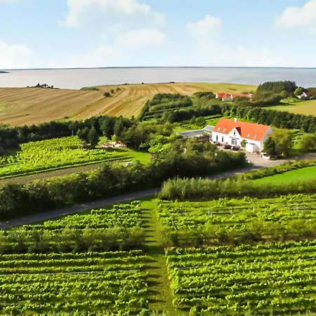 公寓 Cozy In With Wifi