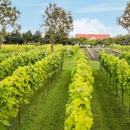 公寓 Cozy In With Wifi *